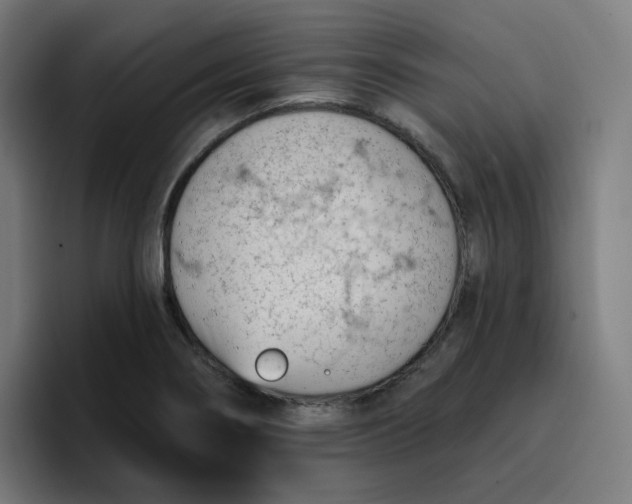 X0000096721274200802191521