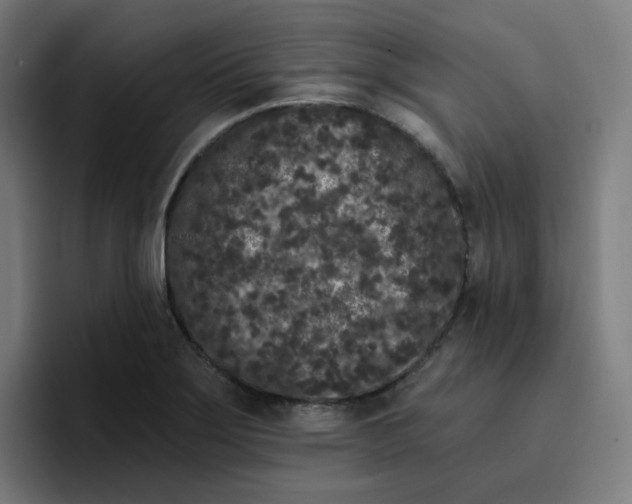 X0000096721275200802191521