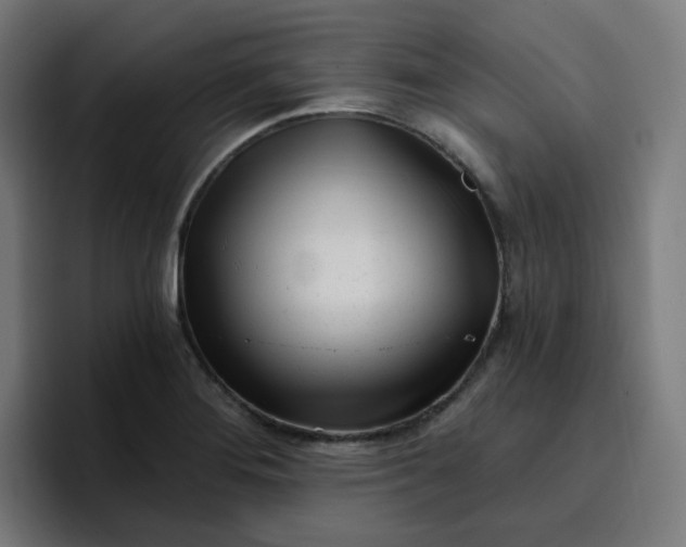 X0000096721276200802191521