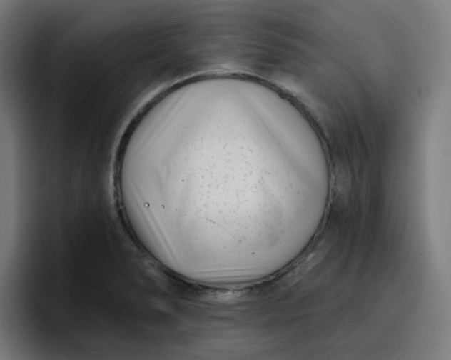 X0000096721278200802191521