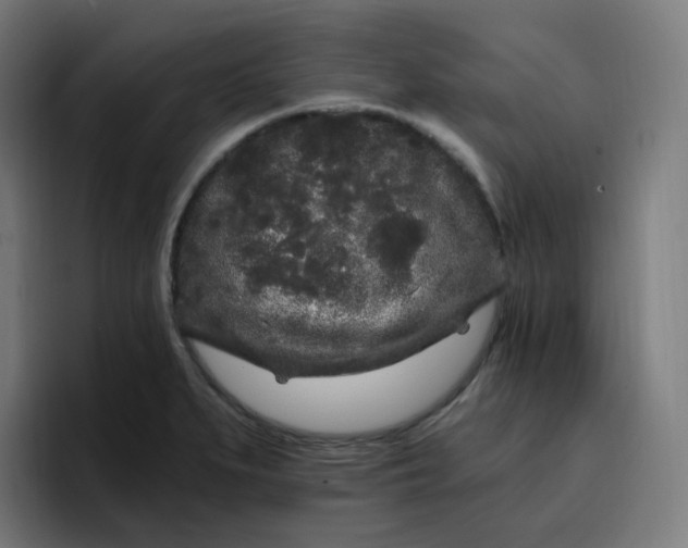 X0000096721279200802191521