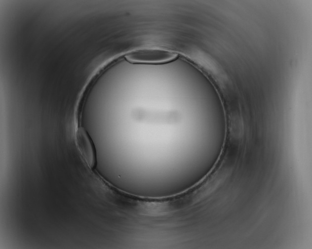 X0000096721280200802191521