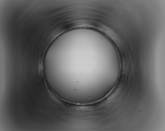 X0000096721281200802191521