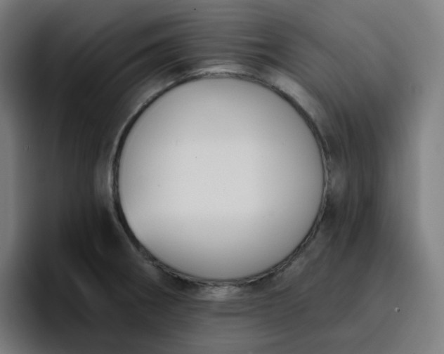 X0000096721282200802191521