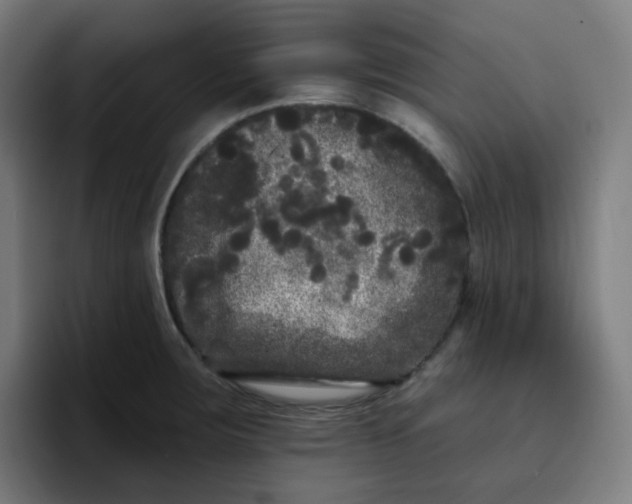 X0000096721283200802191521