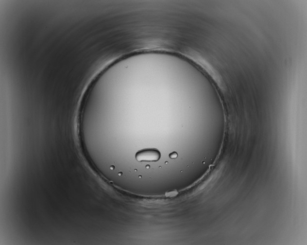 X0000096721285200802191521