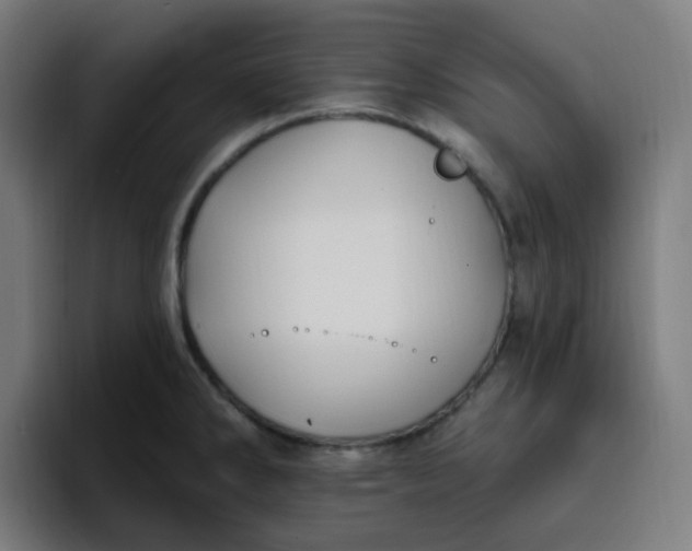 X0000096721286200802191521