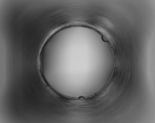 X0000096721287200802191521