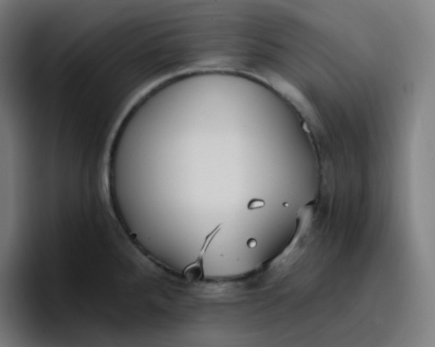 X0000096721288200802191521