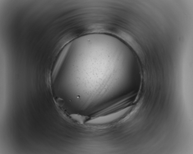 X0000096721289200802191521