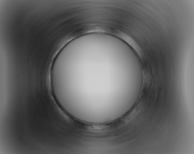 X0000096721290200802191521