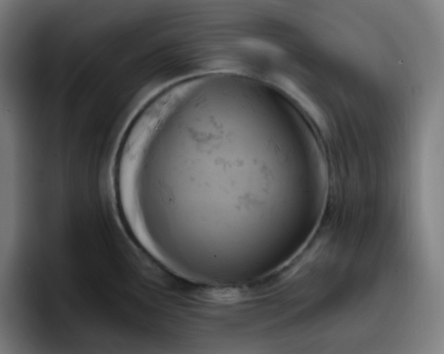 X0000096721291200802191521