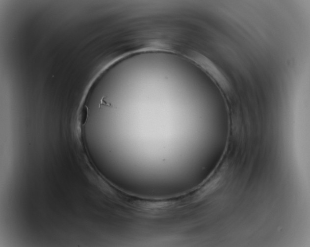 X0000096721292200802191521