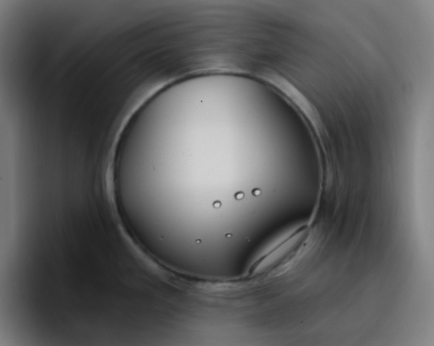 X0000096721293200802191521