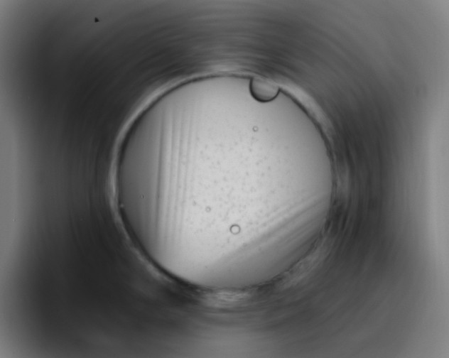 X0000096721294200802191521