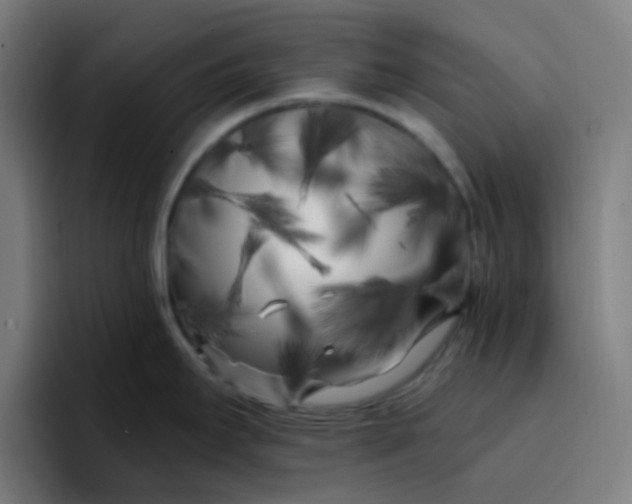 X0000096721295200802191521