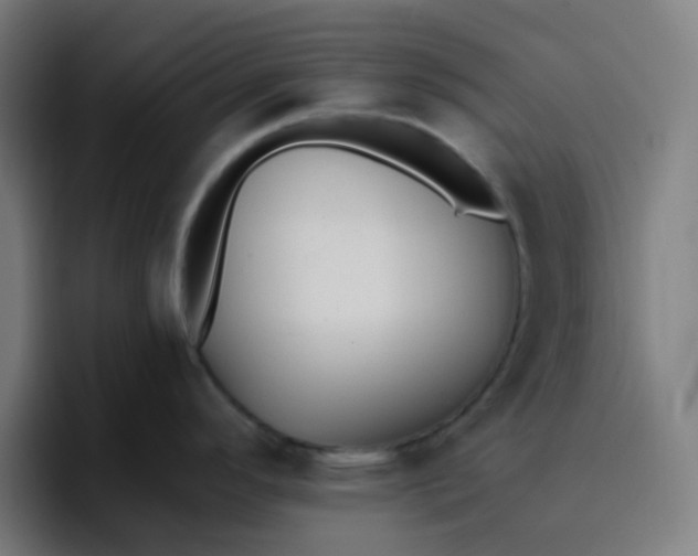 X0000096721296200802191521