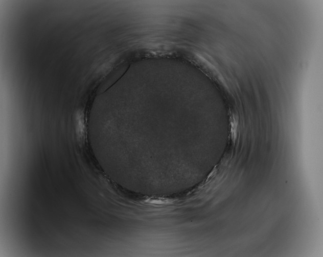 X0000096721298200802191520