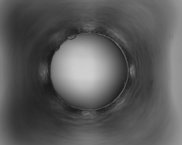 X0000096721299200802191520