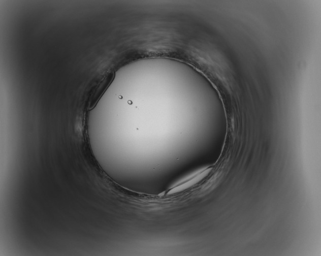 X0000096721300200802191520