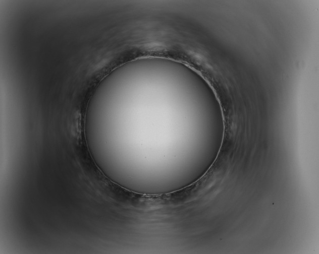 X0000096721301200802191520