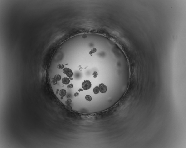 X0000096721302200802191520