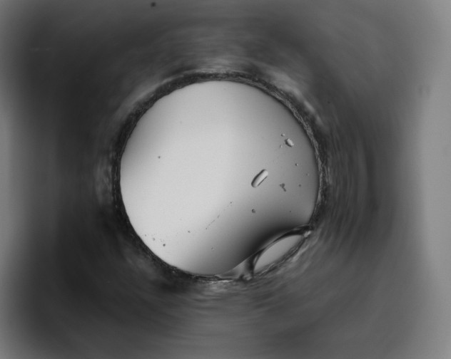 X0000096721304200802191520