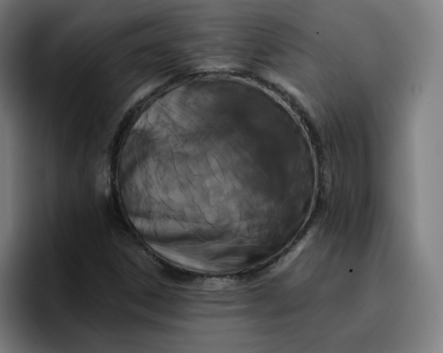 X0000096721306200802191520