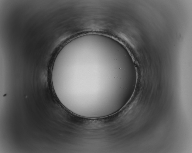 X0000096721307200802191520