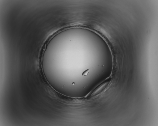 X0000096721308200802191520