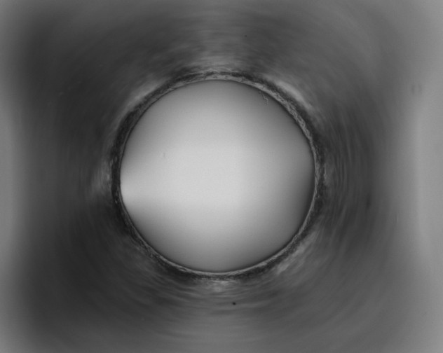 X0000096721309200802191520