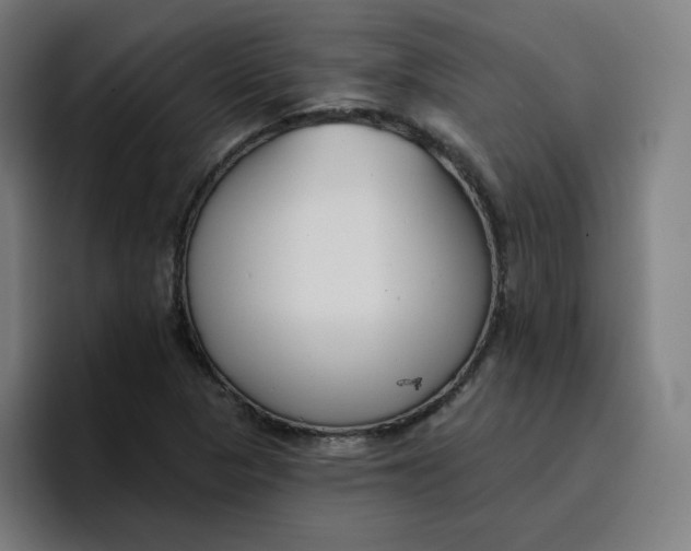 X0000096721313200802191520