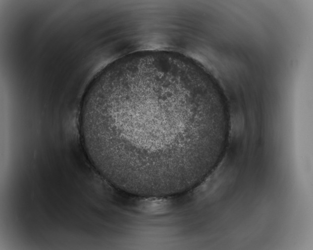 X0000096721314200802191520