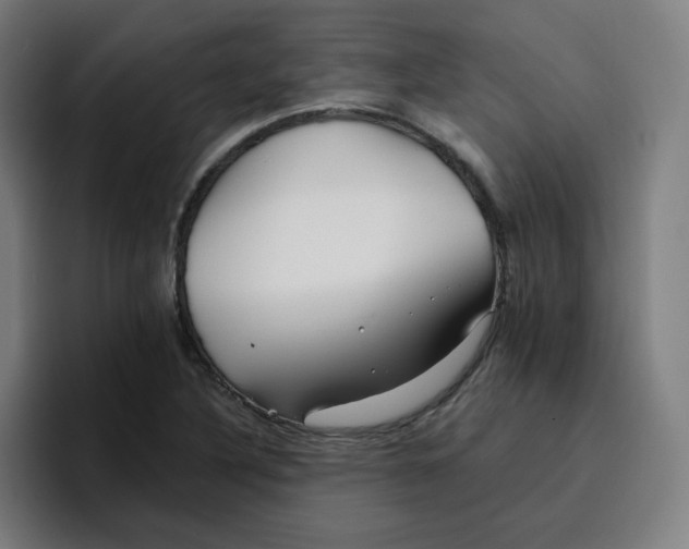 X0000096721316200802191520