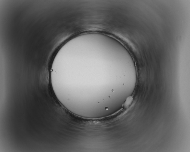 X0000096721317200802191520