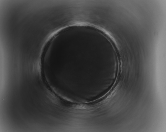 X0000096721319200802191520