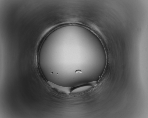 X0000096721320200802191520