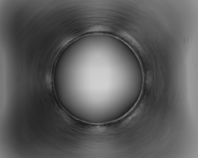 X0000096721321200802191520