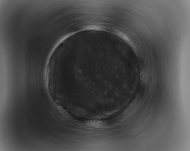 X0000096721323200802191520