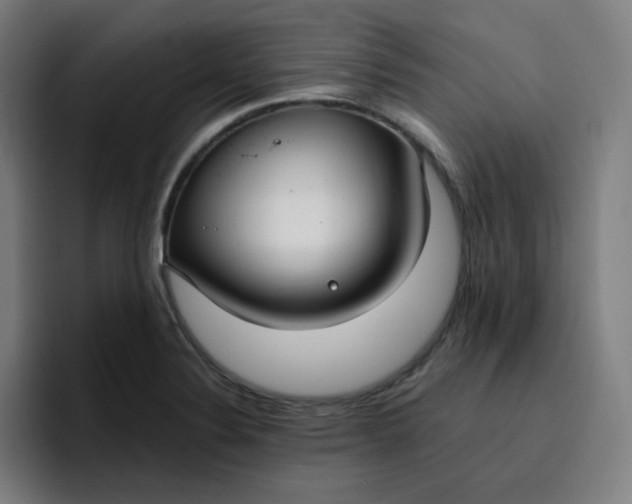 X0000096721324200802191520