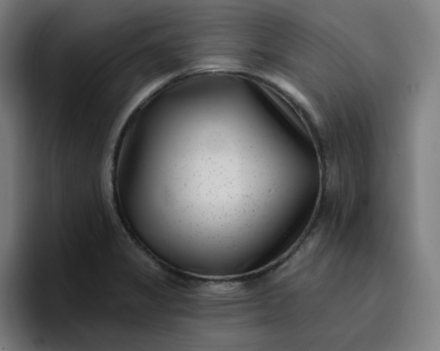 X0000096721325200802191520