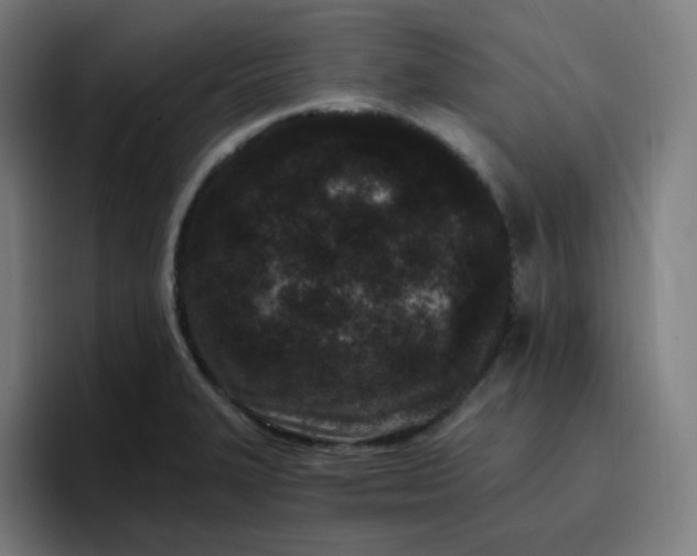 X0000096721327200802191520