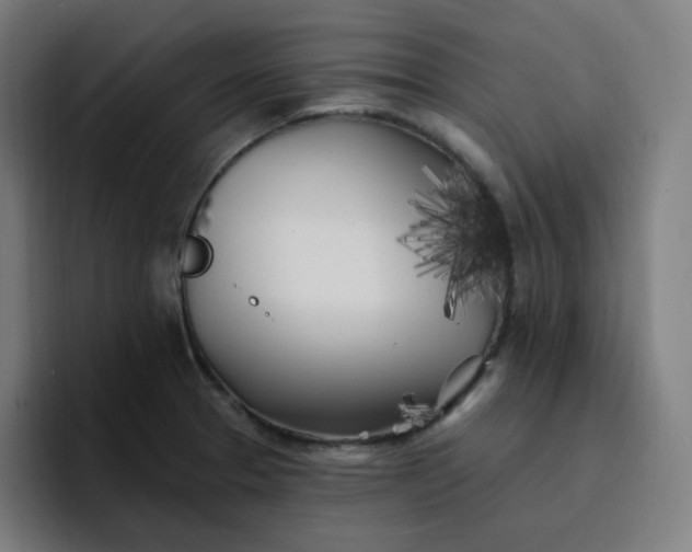 X0000096721329200802191520