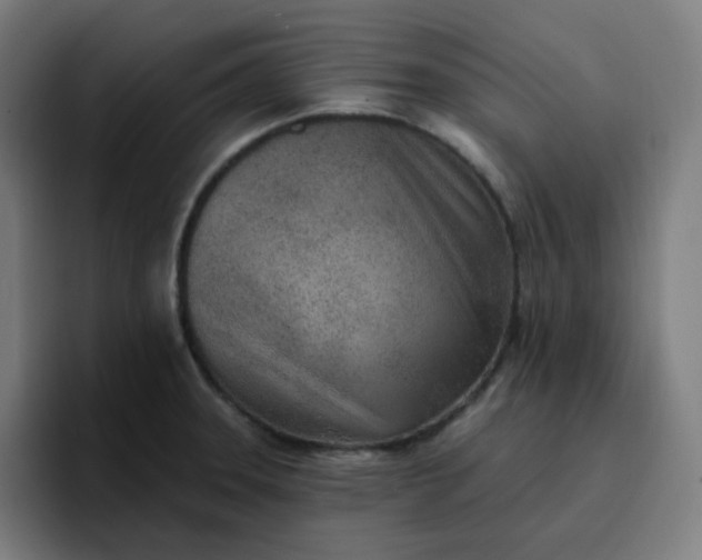 X0000096721331200802191520