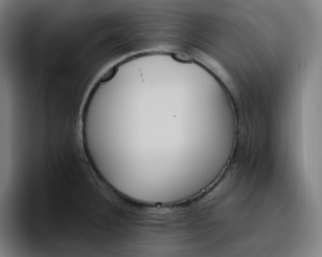 X0000096721332200802191520