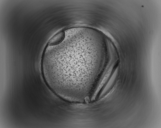 X0000096721333200802191520