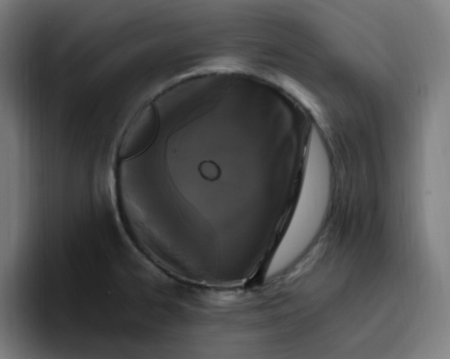 X0000096721334200802191520