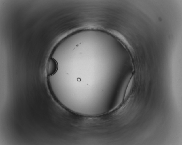 X0000096721335200802191520