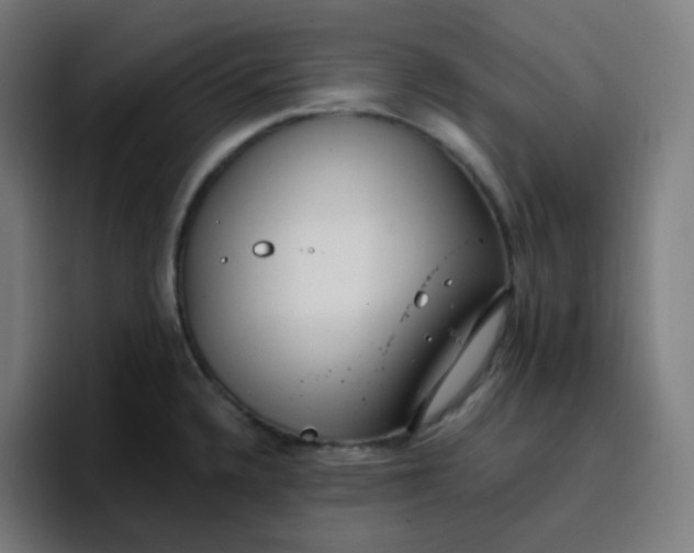 X0000096721336200802191520