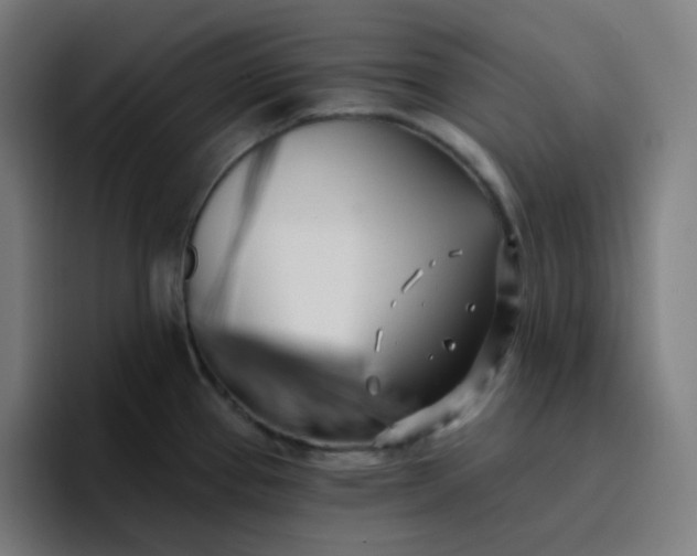 X0000096721337200802191521